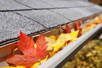 House gutters that need to be cleaned