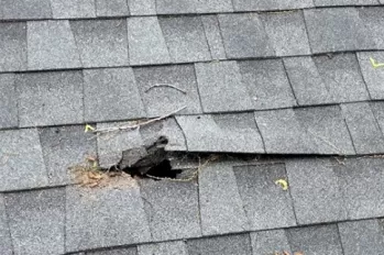 Storm damage caused a hole in asphalt roof. 