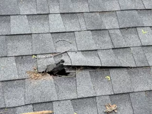Hole poked in a shingled roof that needs repaired